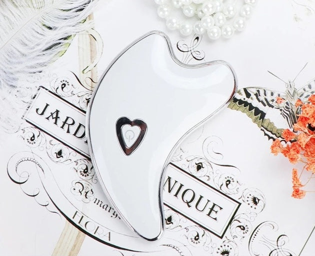 Dolphin scraping board beauty instrument