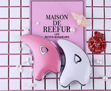 Dolphin scraping board beauty instrument