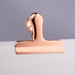High Grade Mirror Golden Stainless Steel Sealing Clip