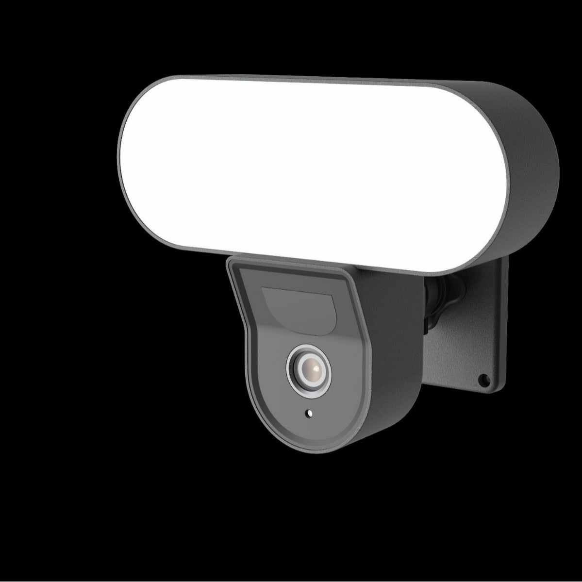 Graffiti Garden Lamp Camera Floodlight WIFI Camera