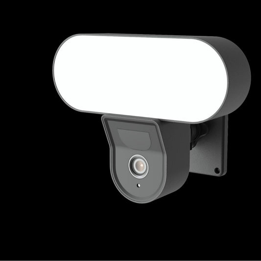 Graffiti Garden Lamp Camera Floodlight WIFI Camera